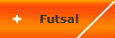 Futsal